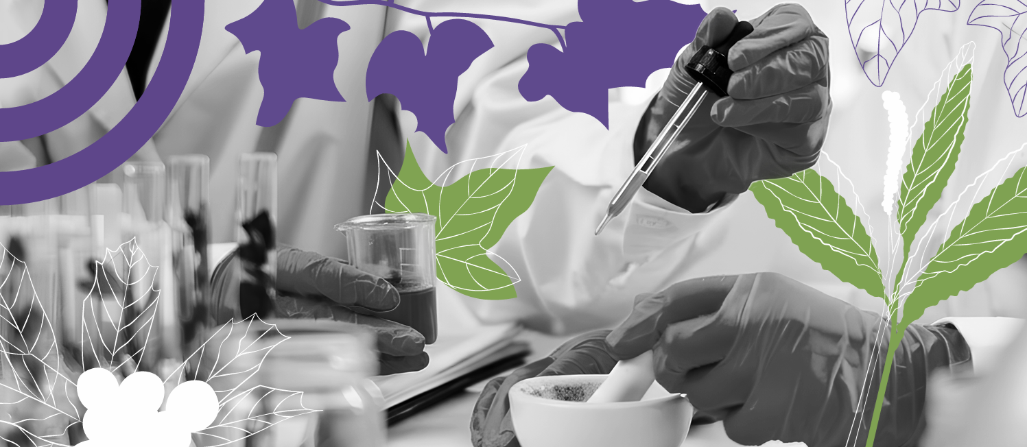 9 propostas para o Brasil se tornar líder mundial em medicamentos fitoterápicos